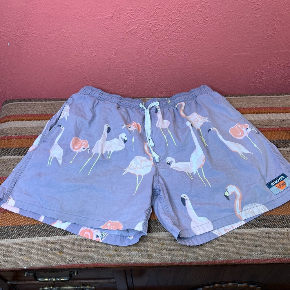 AMBSN CALIFORNIA Pink Flamingo Print Shorts Grey USA Size M